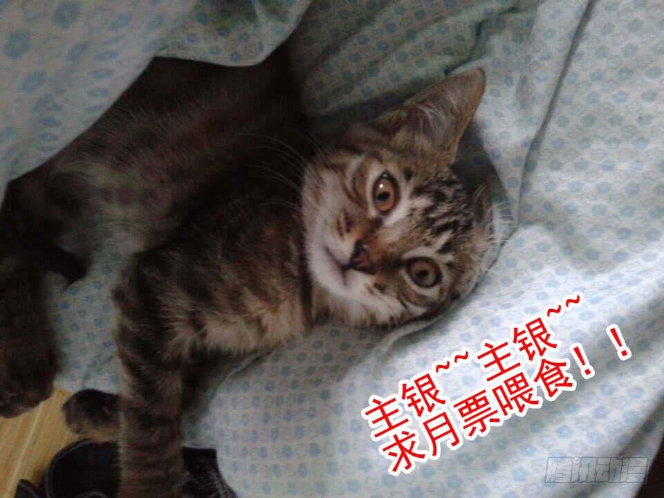 第二十四话 最后的机会-第47话