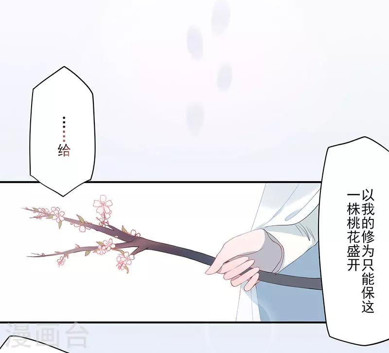 第12话 桃花灼灼-第13话