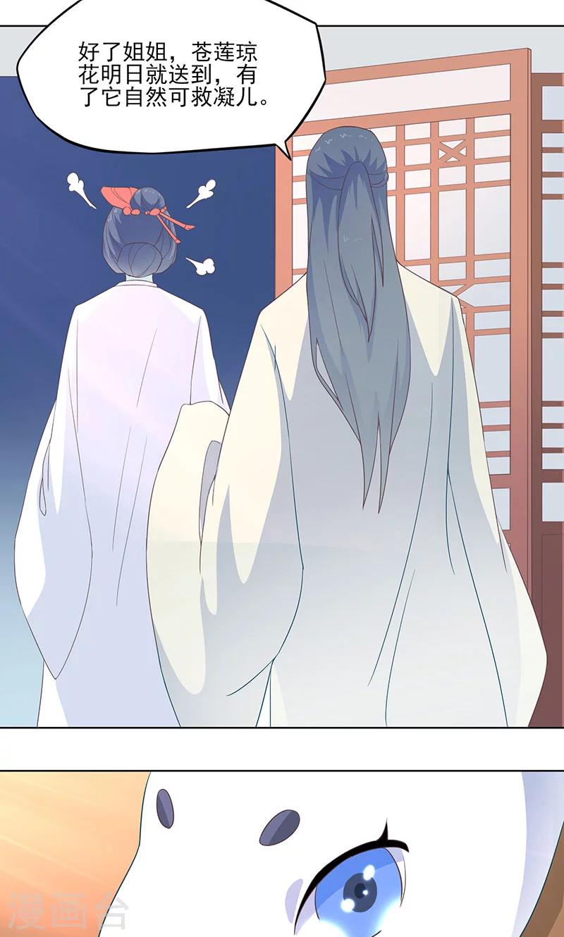 第28话 必取蛇胆-第29话