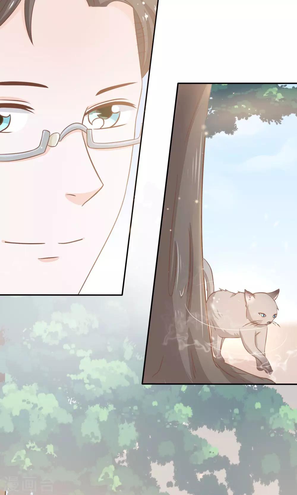 第14话 黑猫的诱惑-第15话