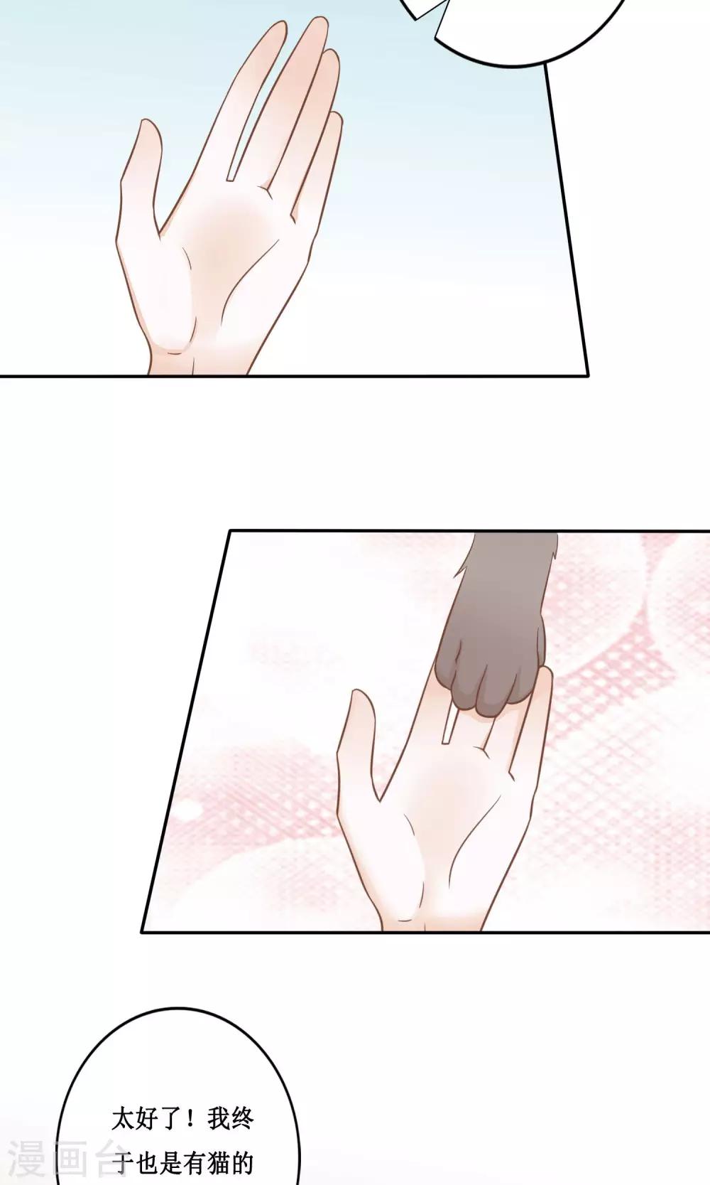 第14话 黑猫的诱惑-第15话