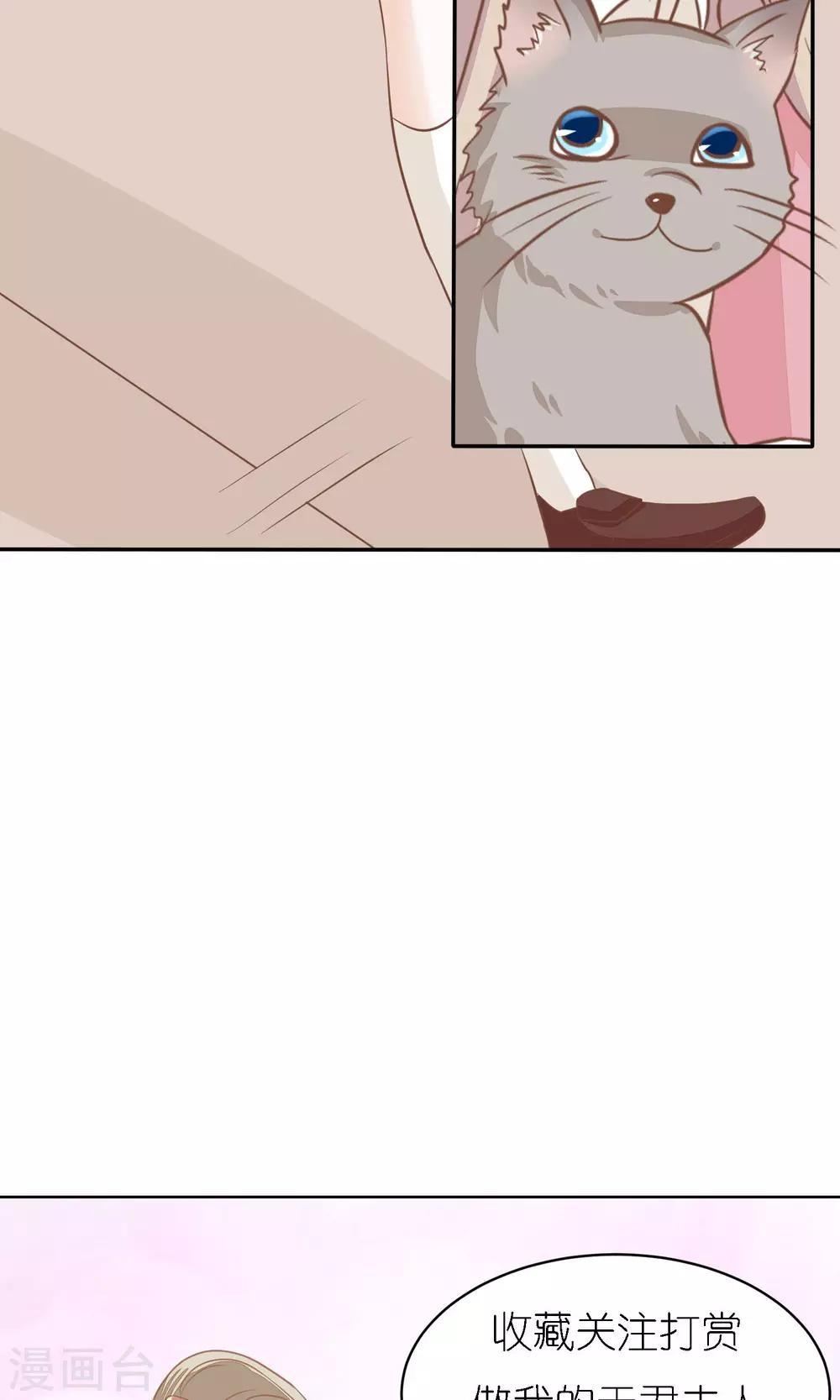 第14话 黑猫的诱惑-第15话