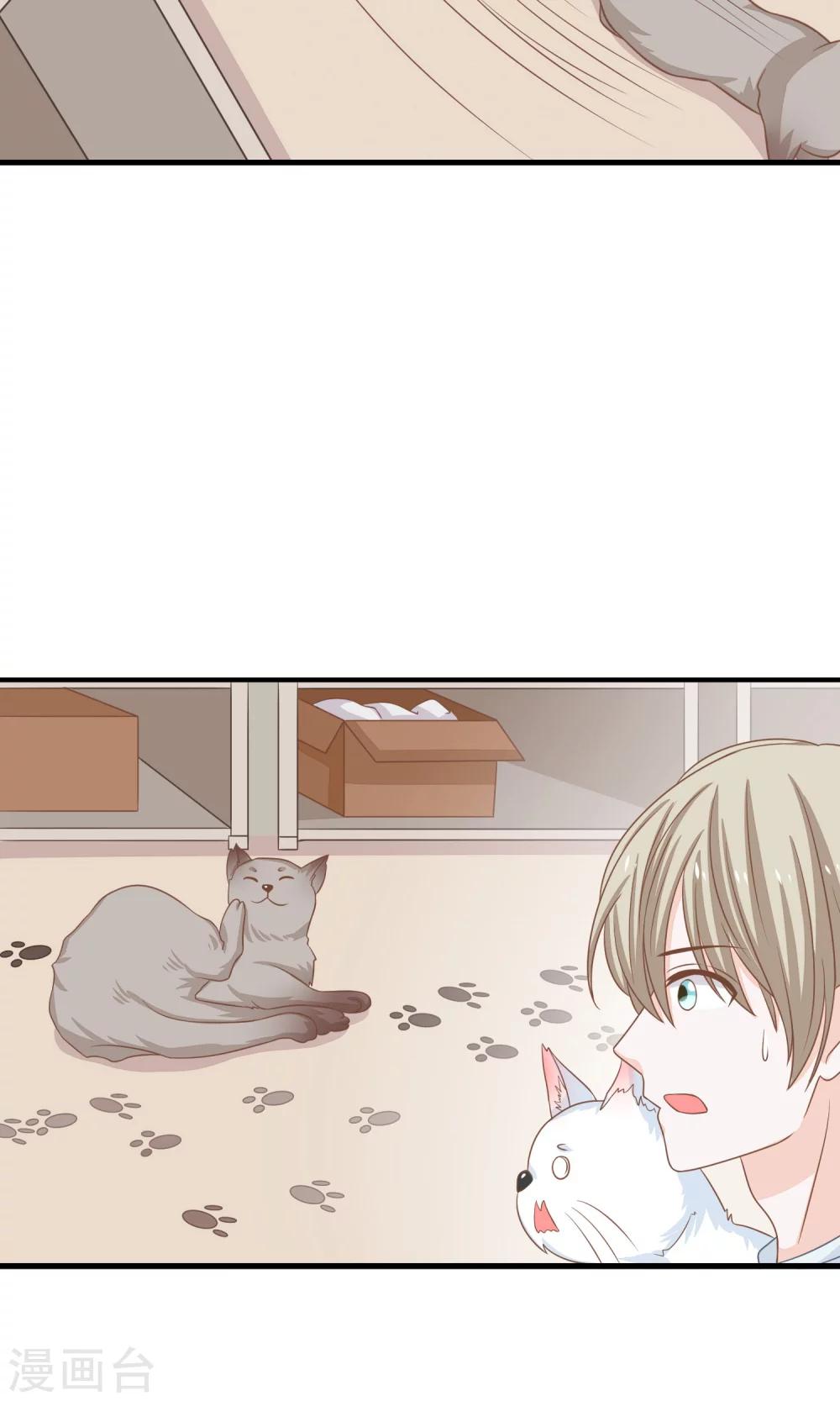 第20话 传家宝-第21话