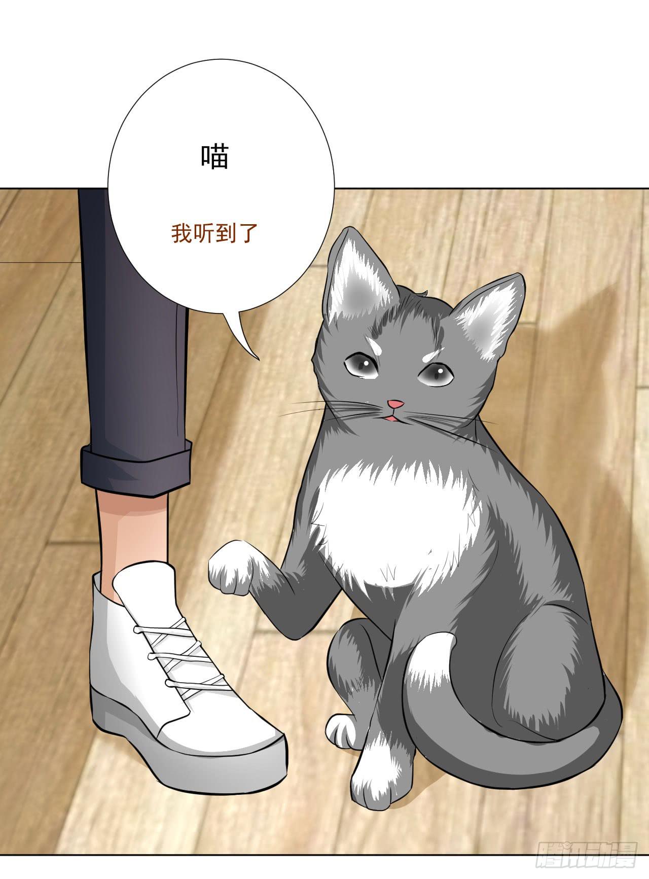 第12话 惊天消息！(1/2)-第13话