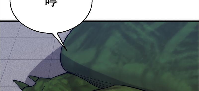 第三十七话 再遇玲珑(1/7)-第37话