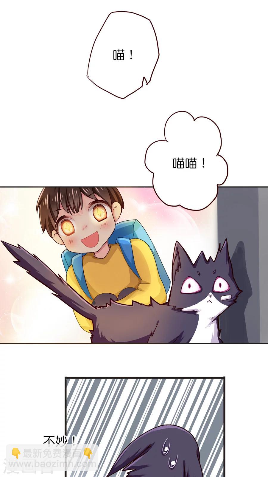 第39话 猫比狗受欢迎哦！-第39话