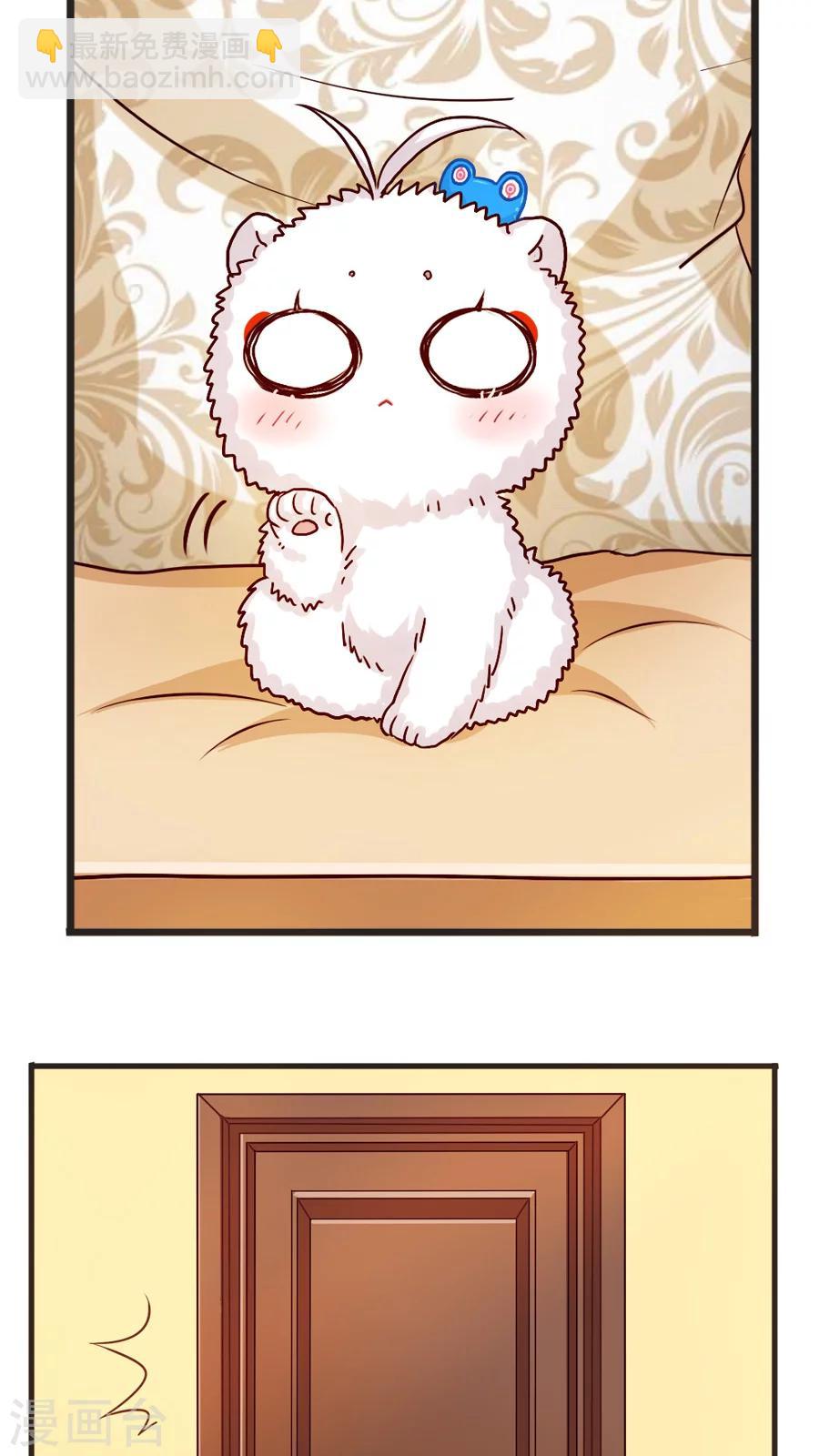 第39话 猫比狗受欢迎哦！-第39话