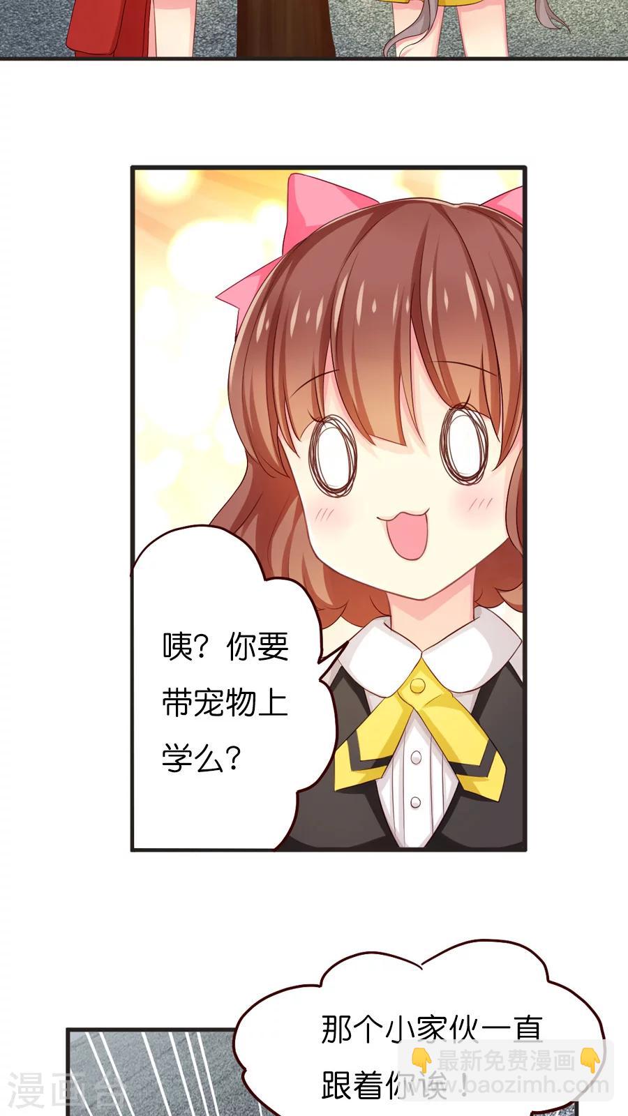 第39话 猫比狗受欢迎哦！-第39话