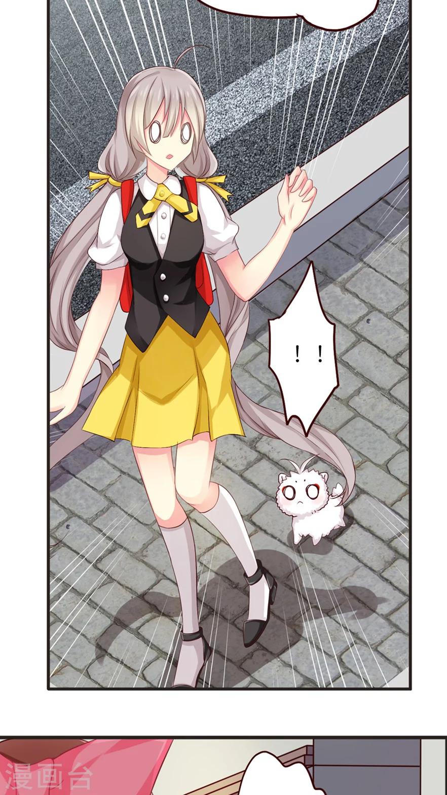 第39话 猫比狗受欢迎哦！-第39话