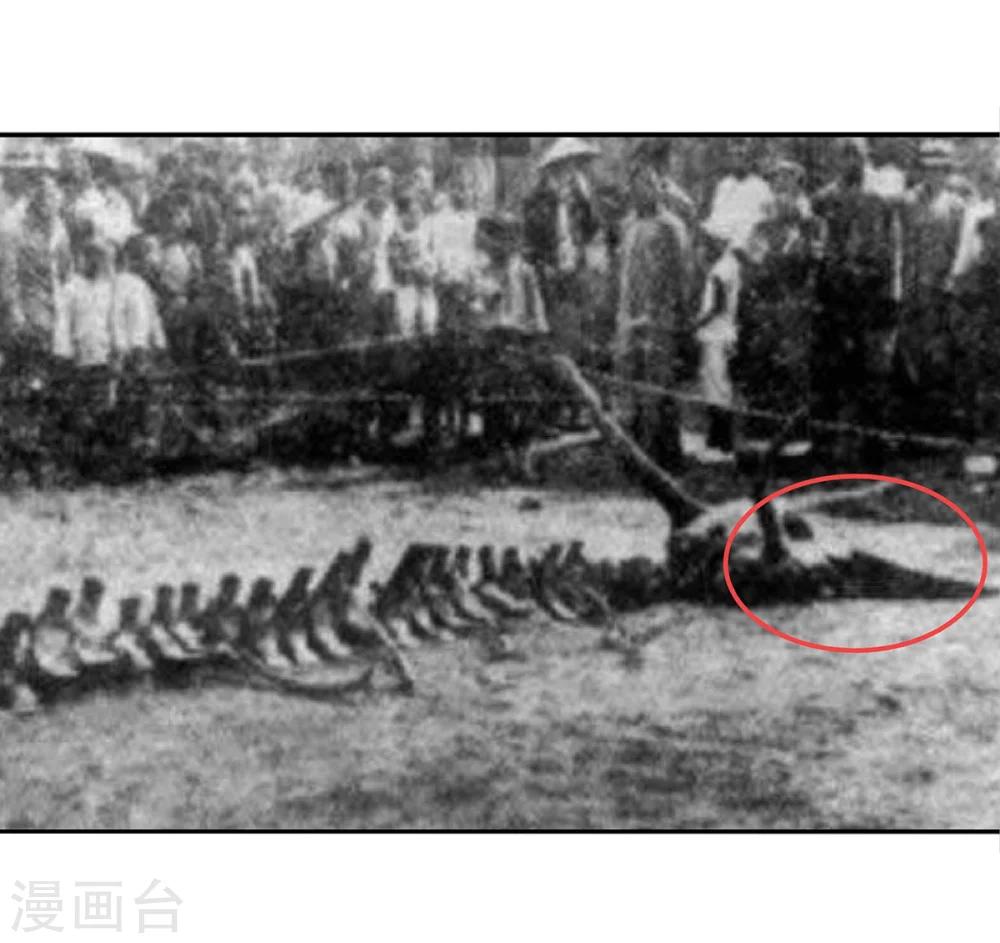 第3话 营口坠龙事件-第3话