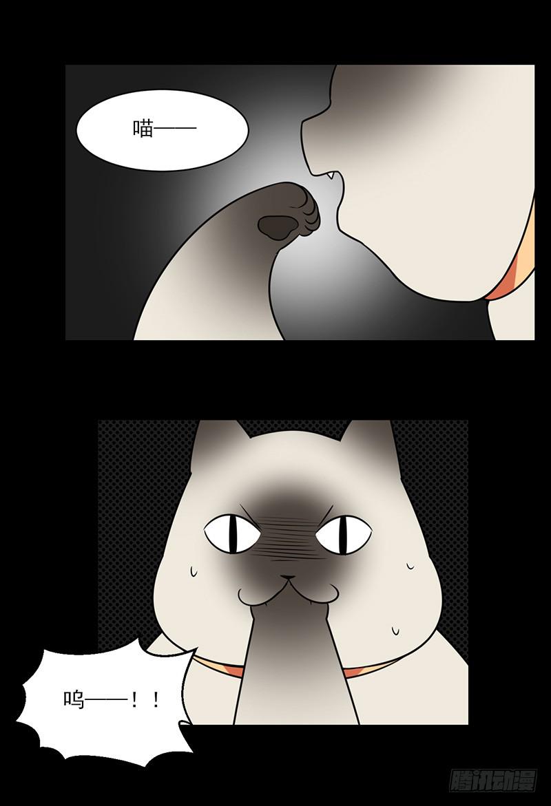 倾泻的彩虹与败北的英雄？！-第25话