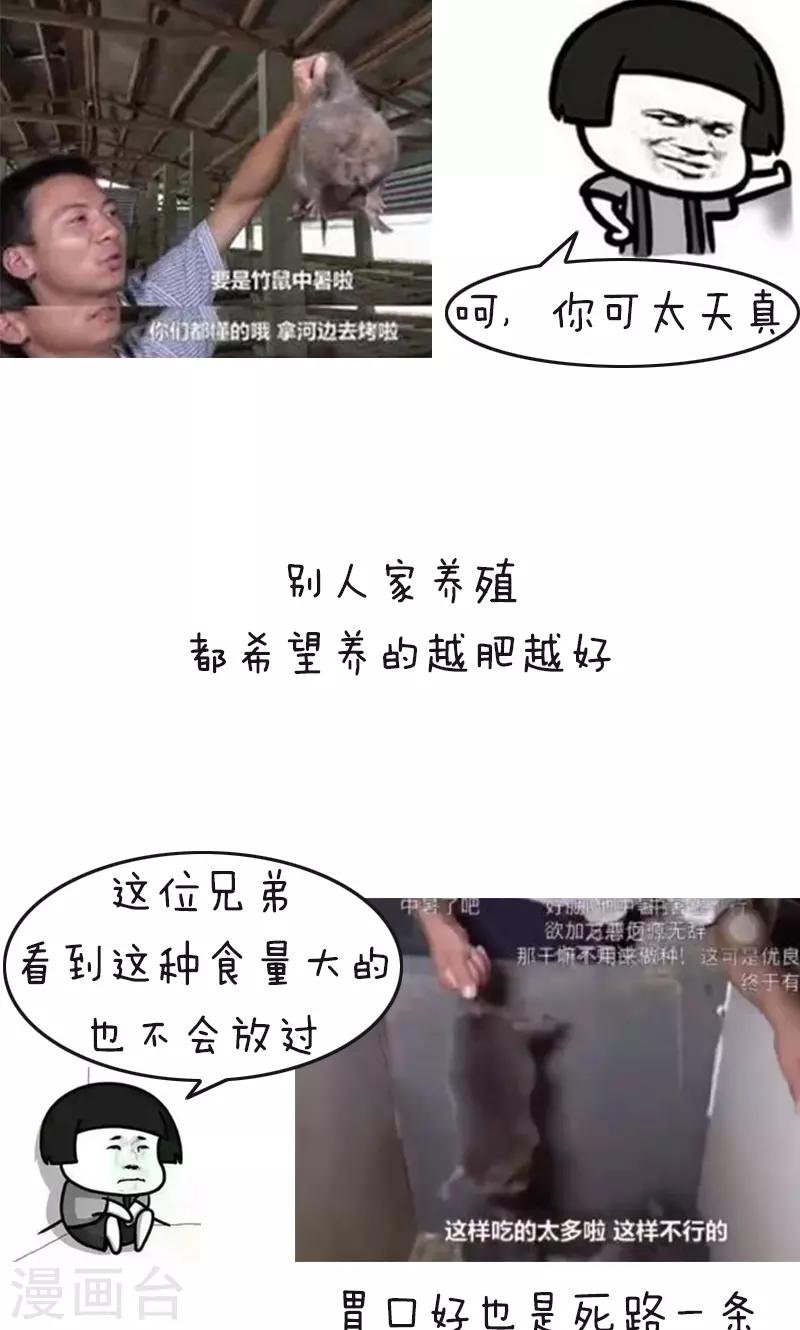 第178话 表情包丨吃竹鼠的一百种理由-第179话