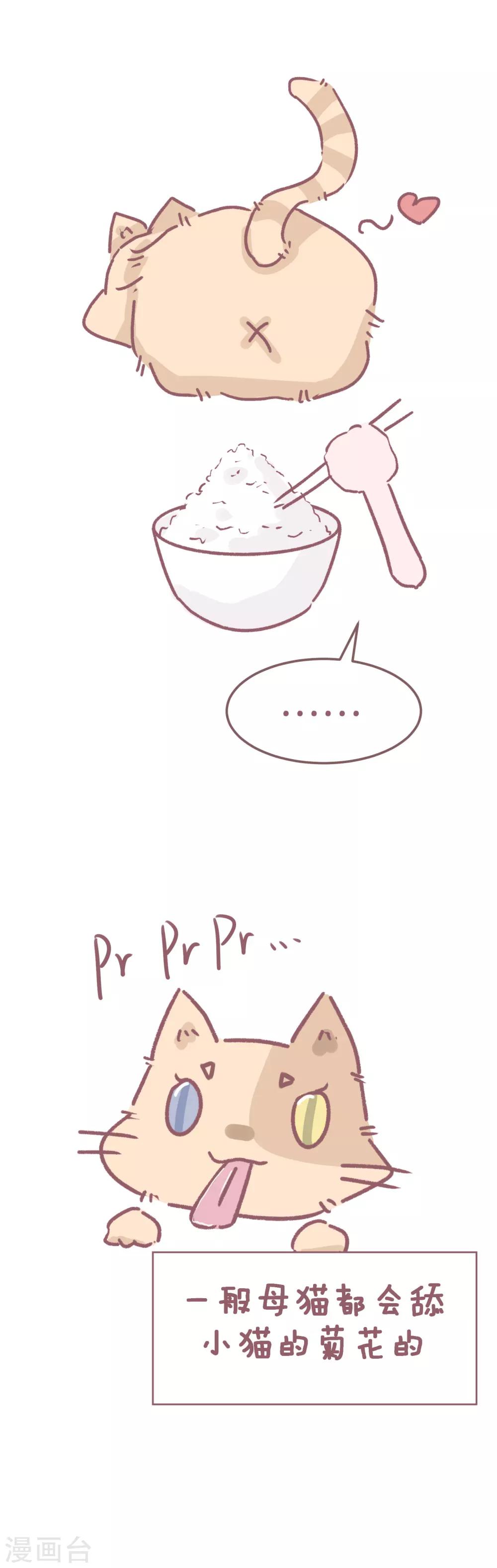 第76话 真爱来之不易，且舔且珍惜-第77话