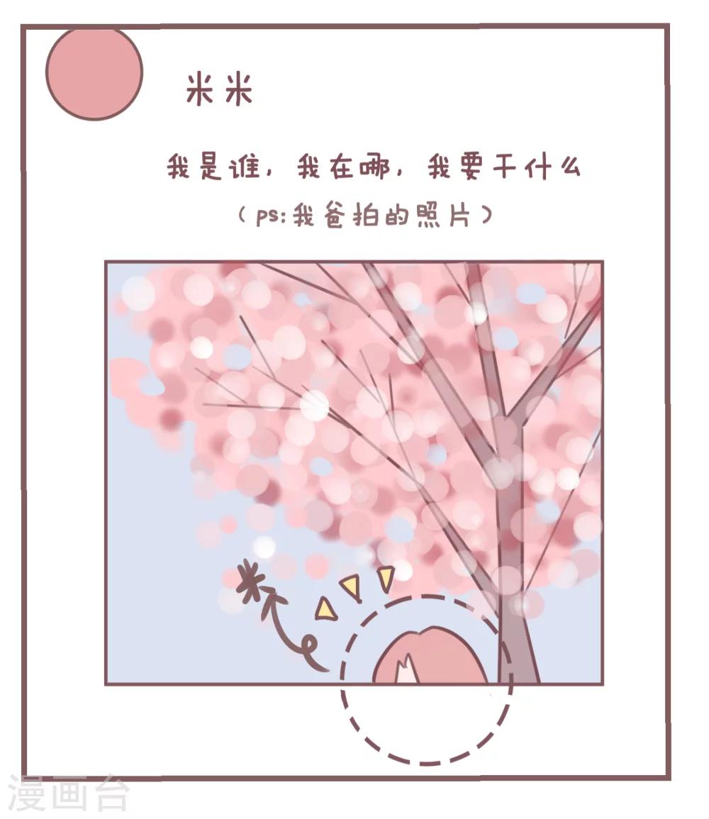 第82话 论家长们的拍照技术-第83话