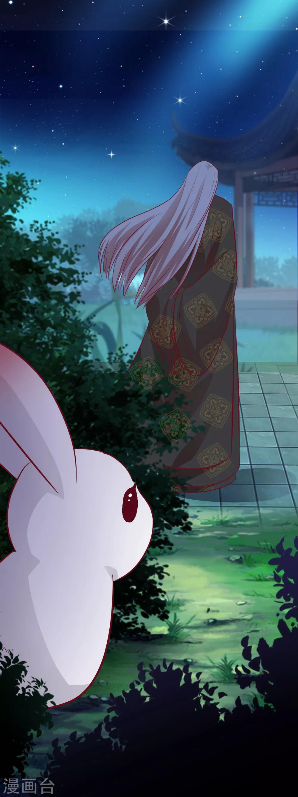 第35话 哪里来的小兔子-第37话