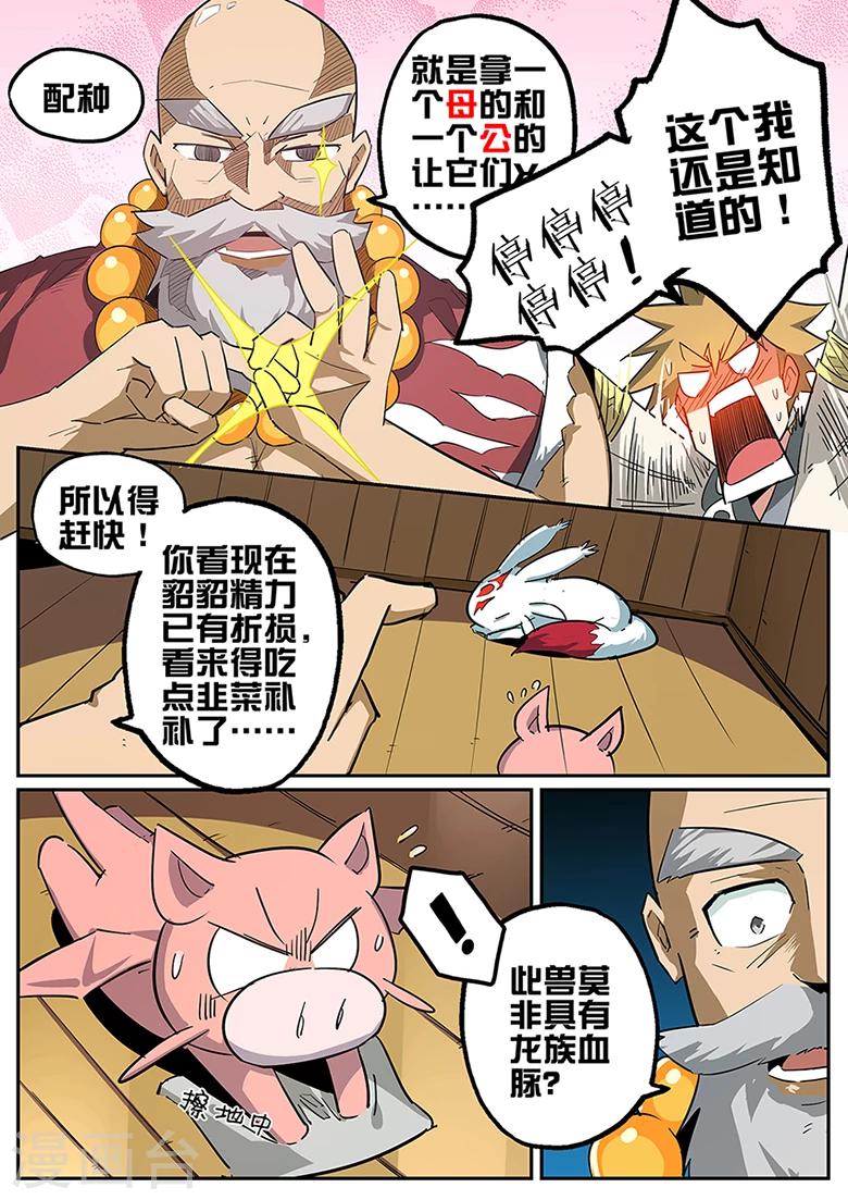 第79话 配&hellip;&hellip;种？-第79话