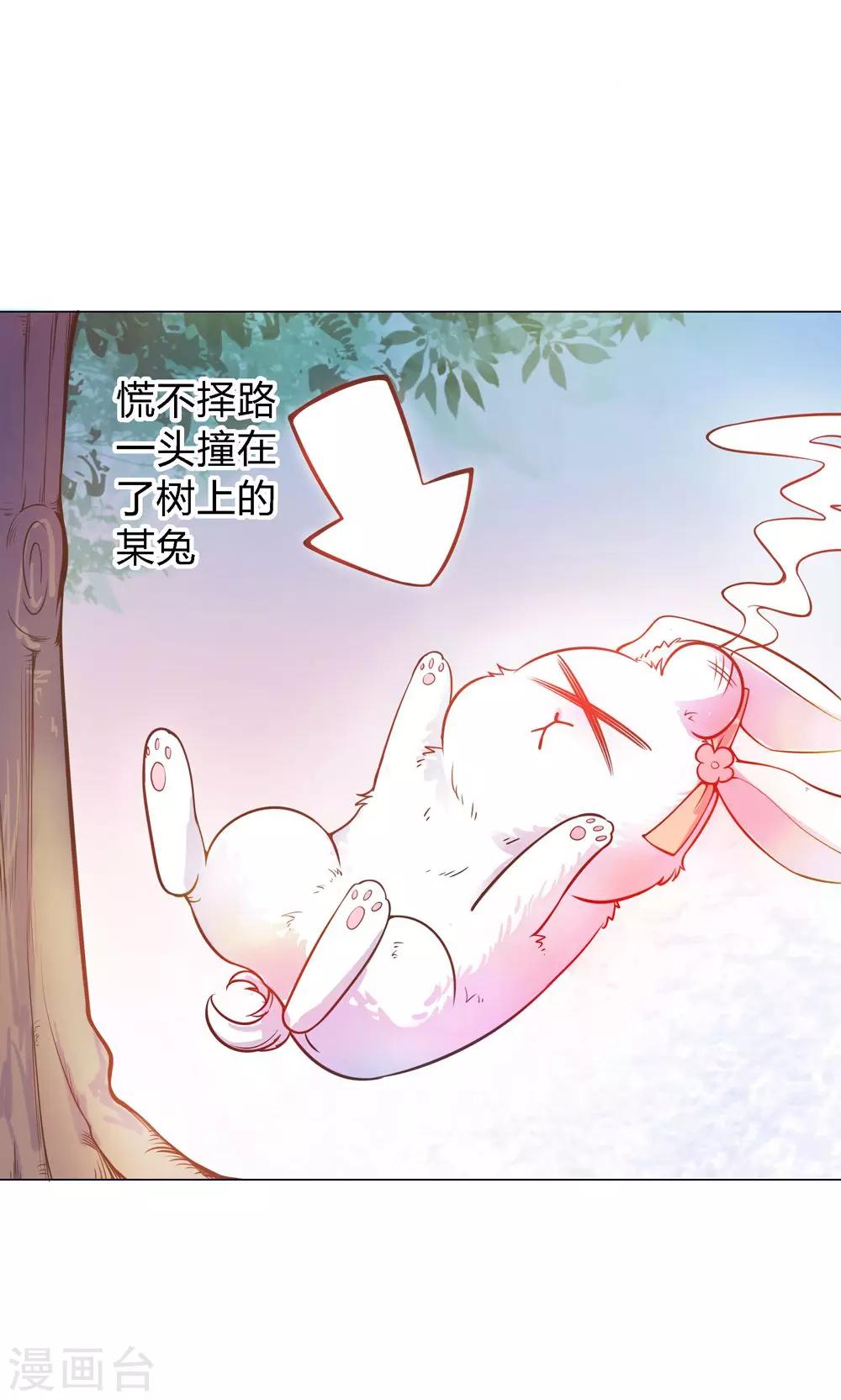 第9话 兔子蹬山，了解一下。-第9话