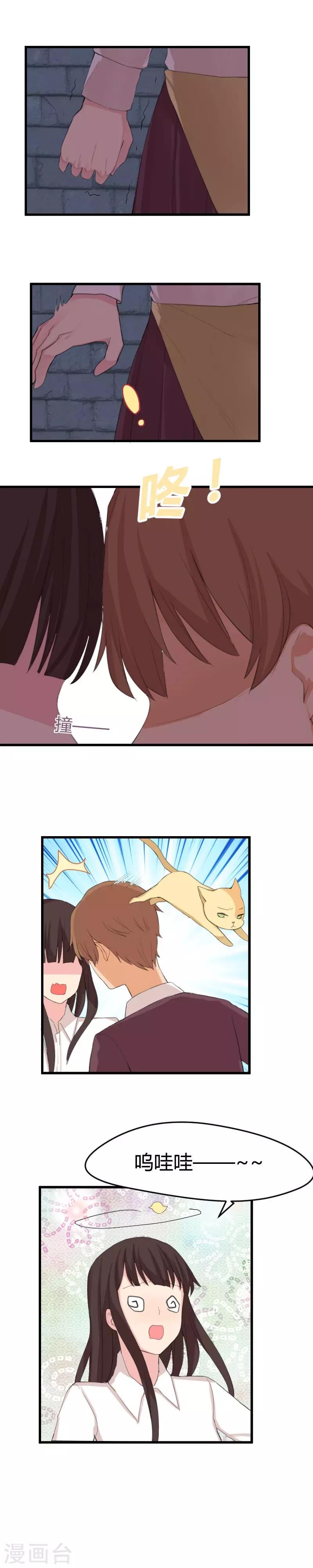 第13话 这猫真不解风情-第13话