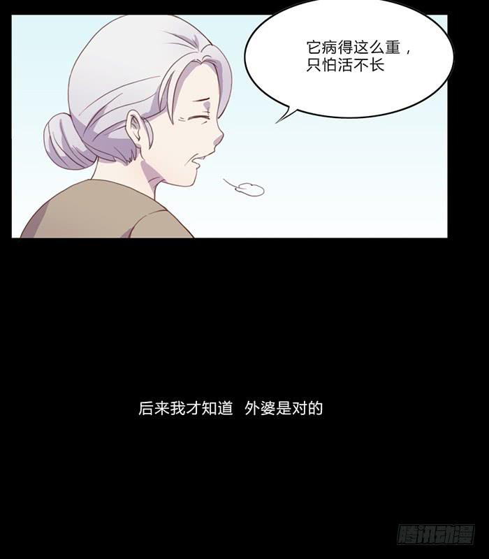 未婚爸爸 - 生死有命 - 4