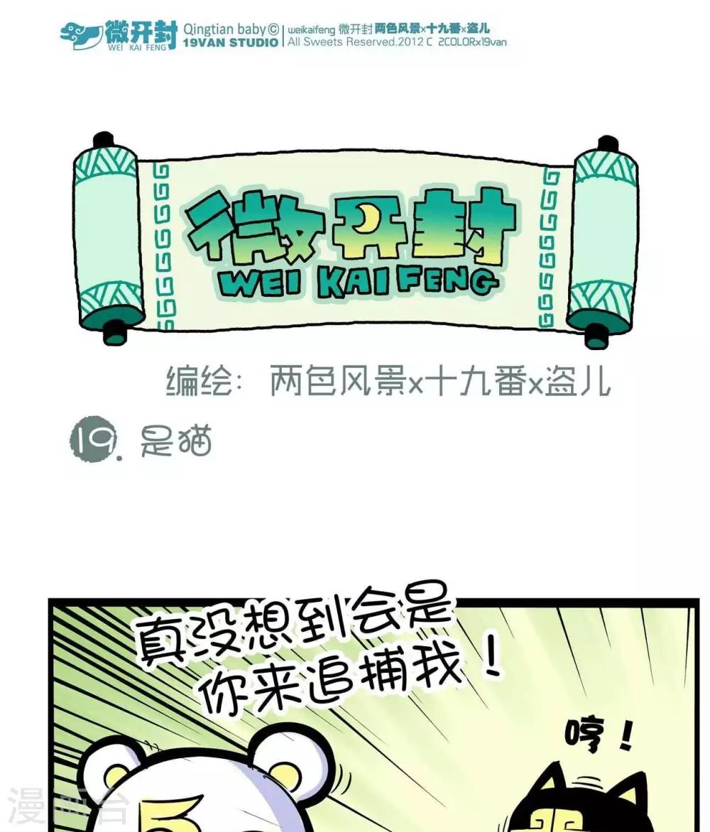 第19话  是猫-第19话