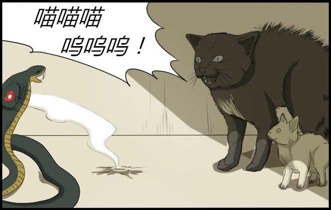 熟悉的陌生人（8）-第15话