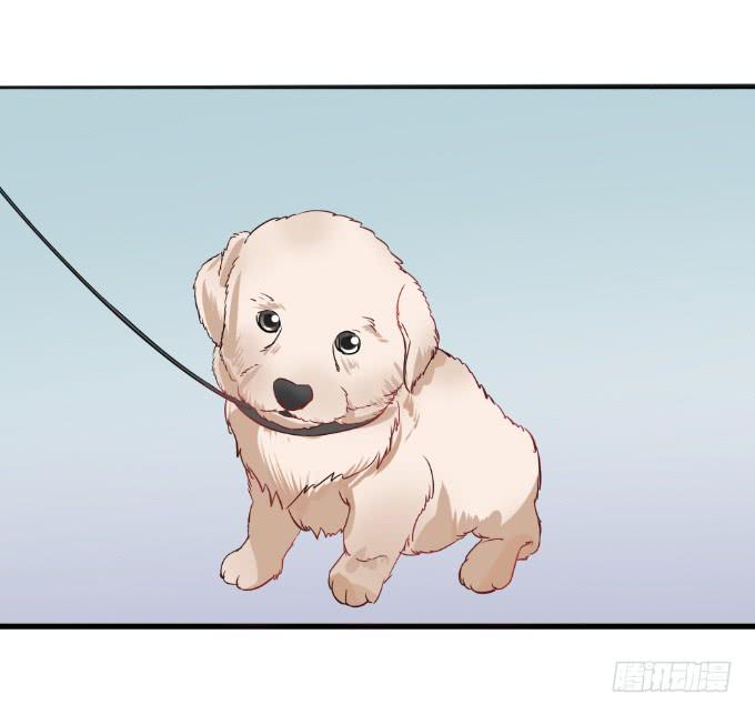 少年杀手-第35话