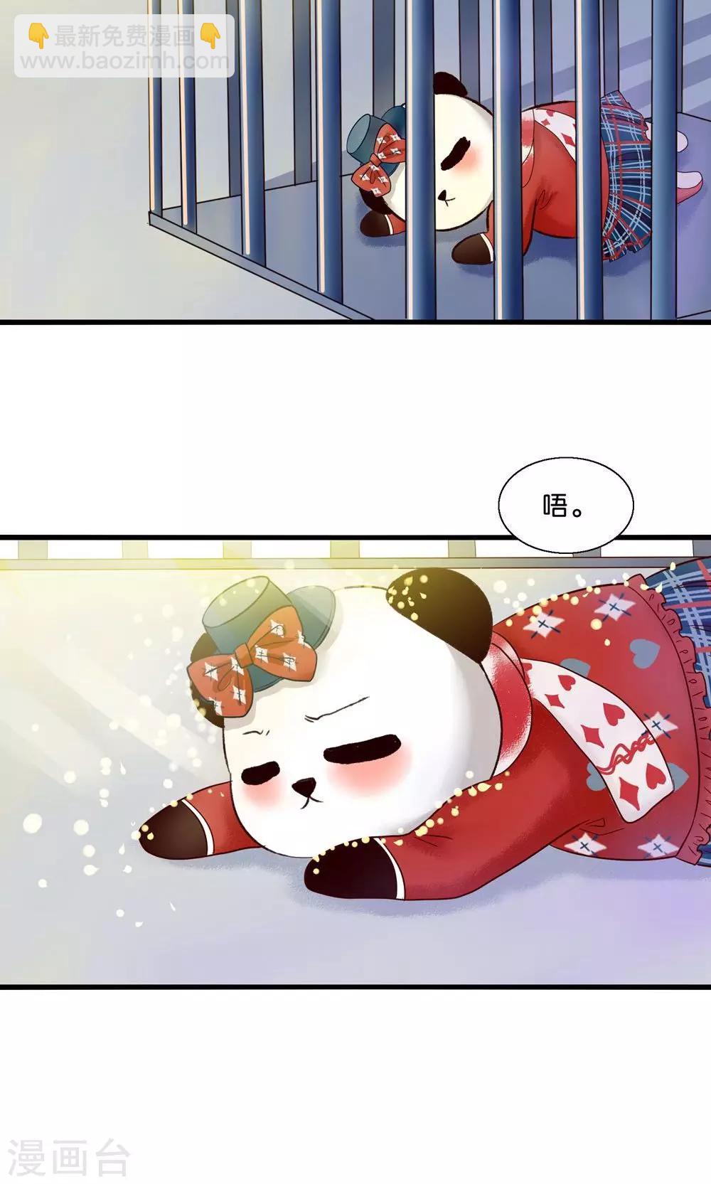 第4话 萌熊拳出击！-第5话