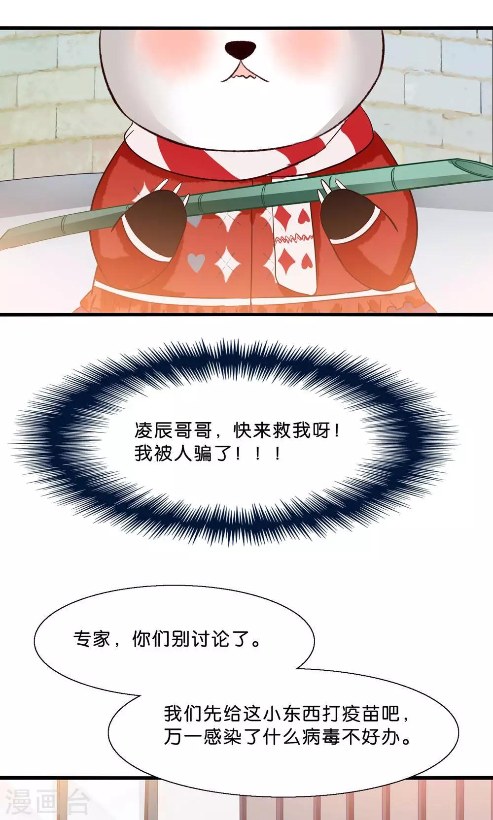 第4话 萌熊拳出击！-第5话