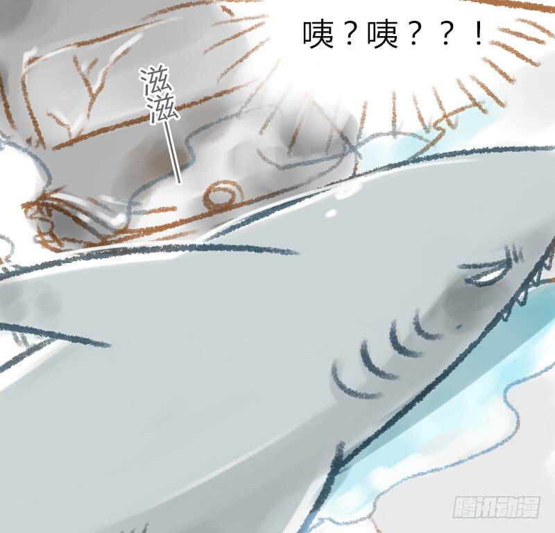 一条鲨鱼？！-第11话
