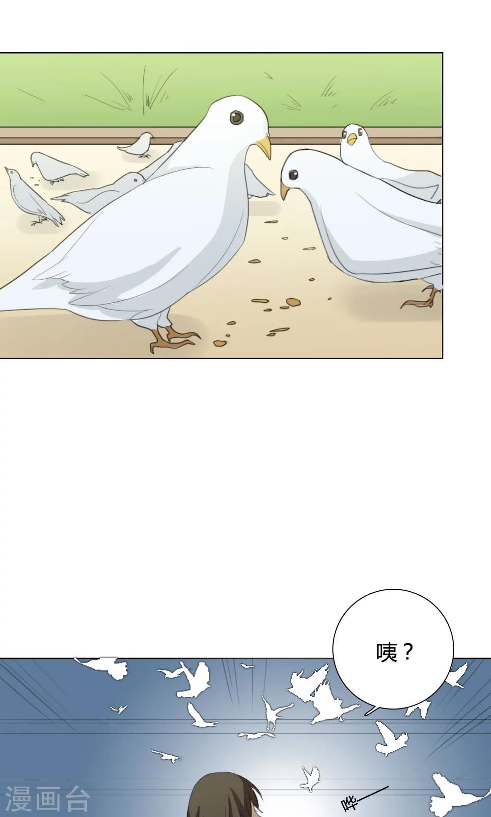 第5话 养龙日记2(1/2)-第5话