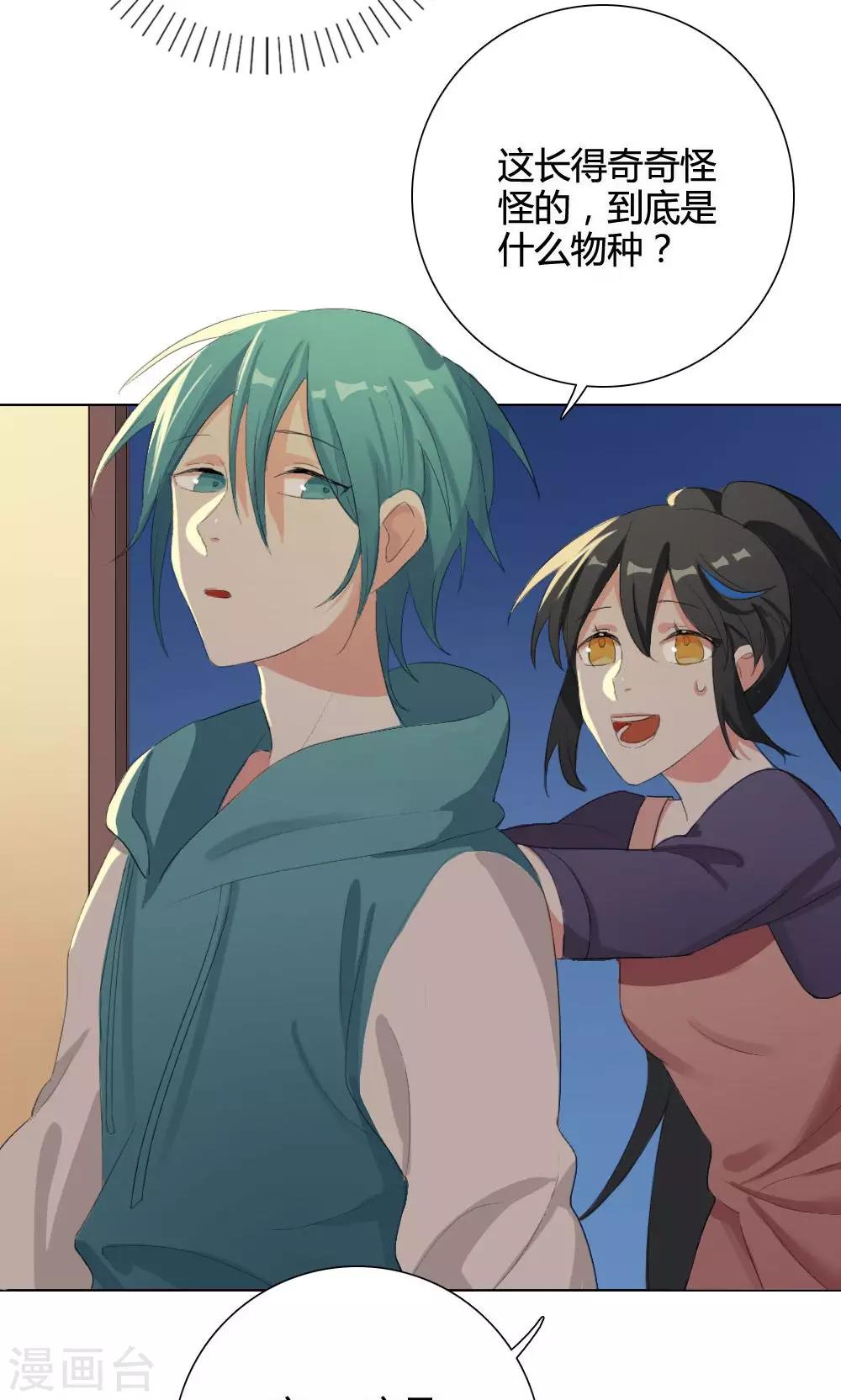 第7话 养龙日记4(1/2)-第7话