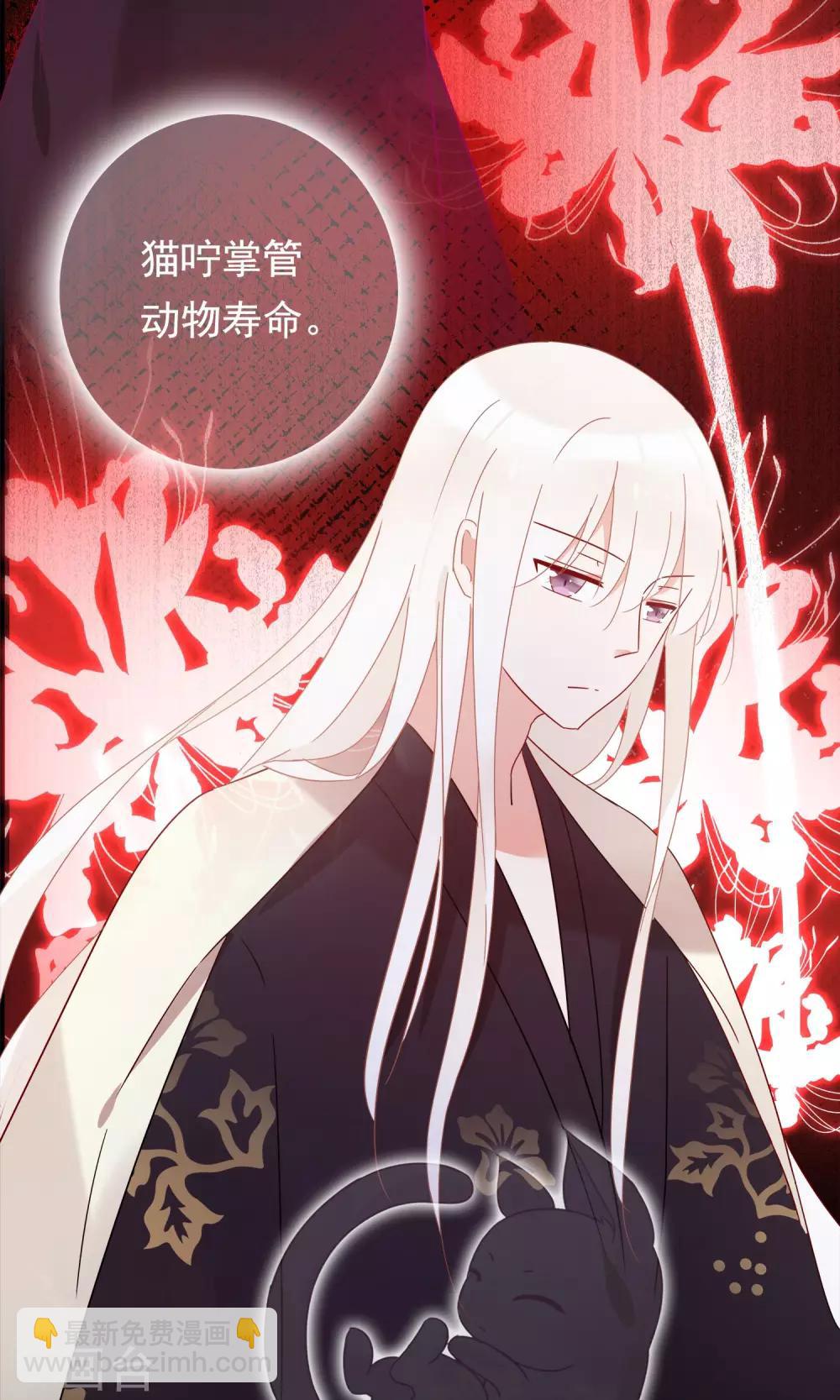 第19话 动物们的生死归我管-第21话