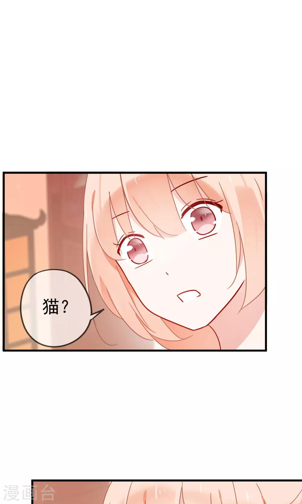 第19话 动物们的生死归我管-第21话