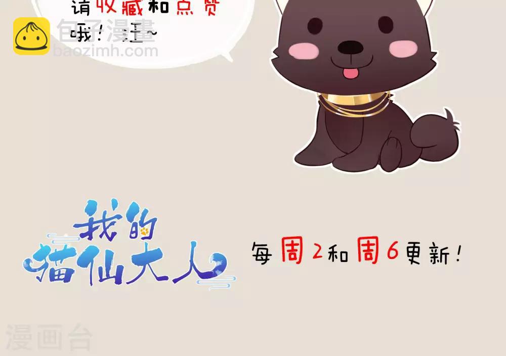 第19话 动物们的生死归我管-第21话