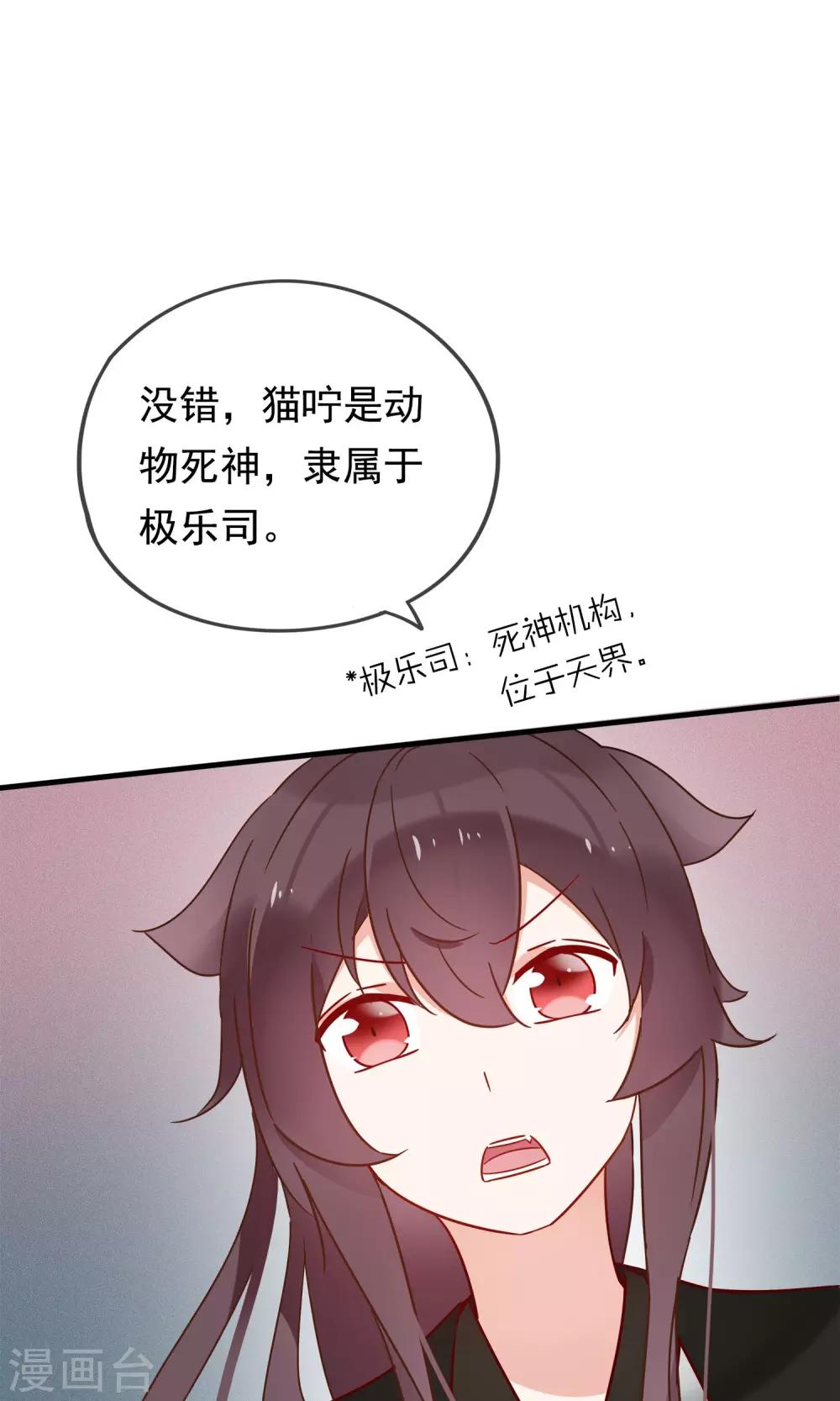 第19话 动物们的生死归我管-第21话