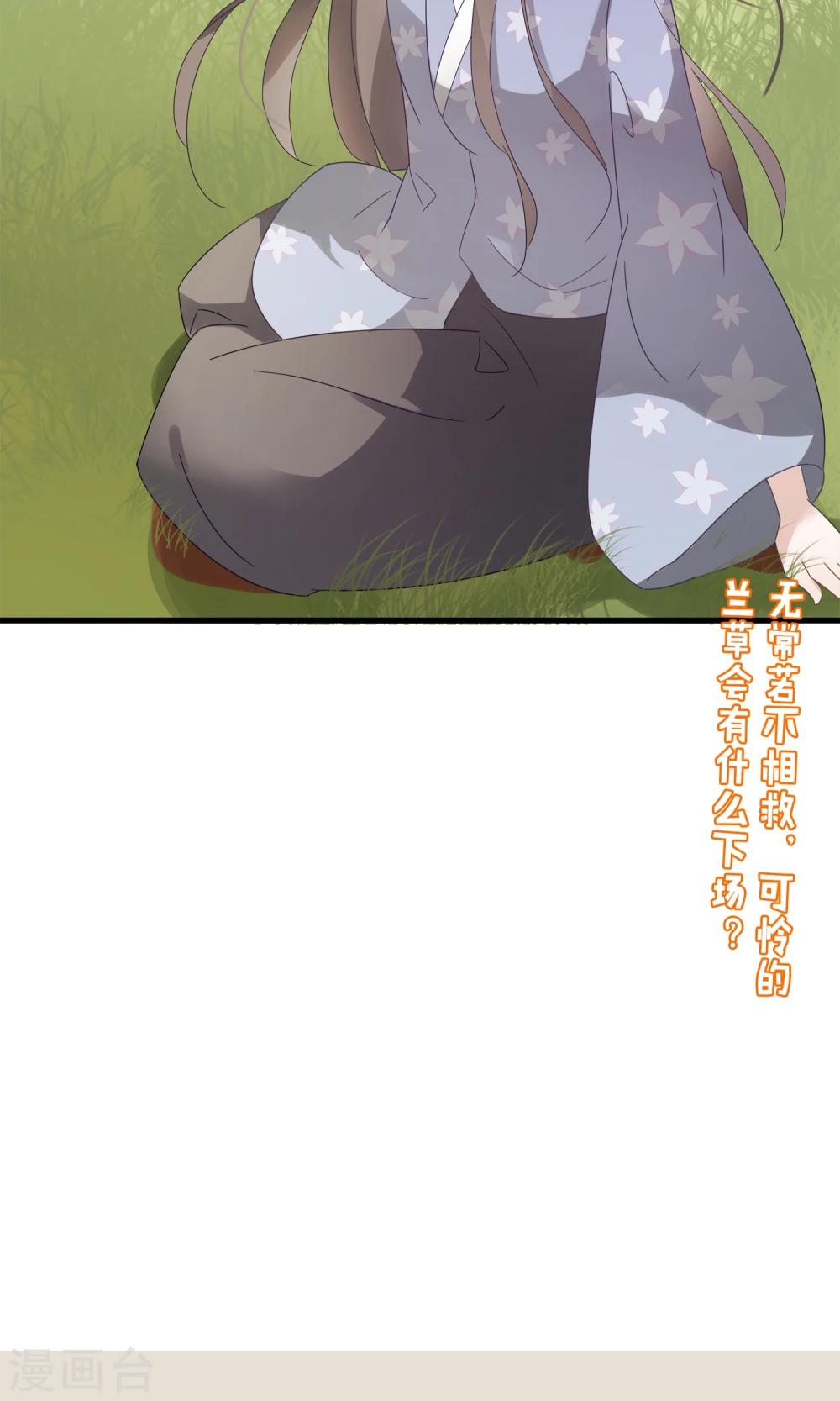 第23话 可怜的兰草-第25话