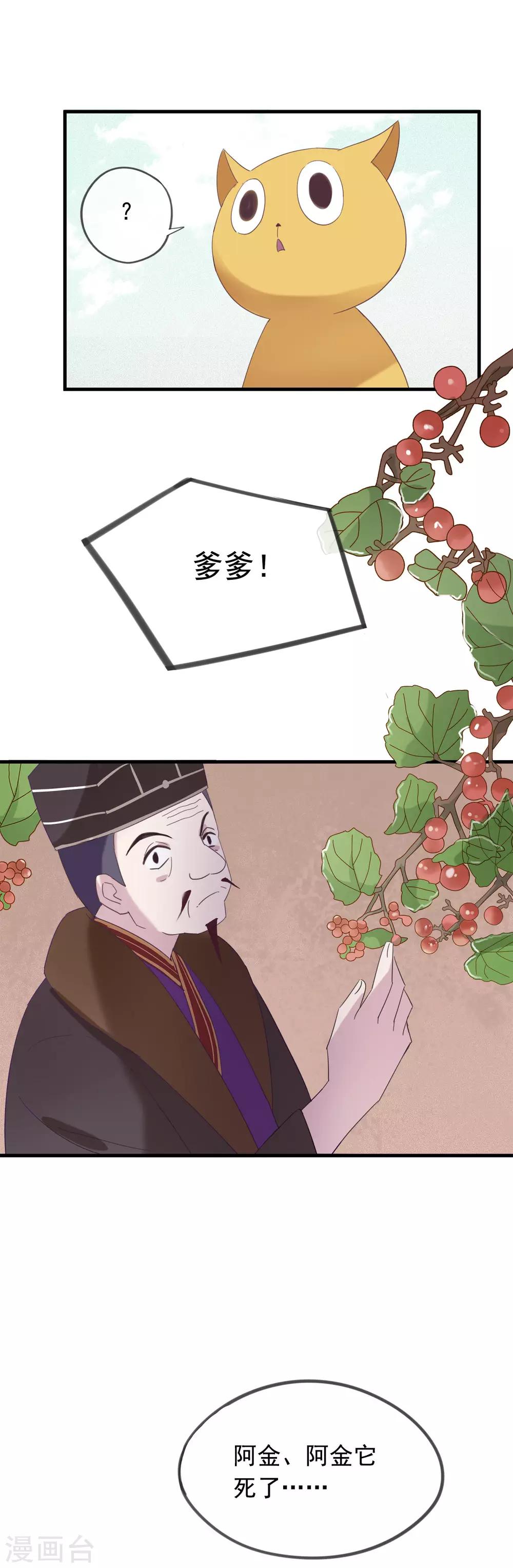 第50话 我决定和他成亲！-第53话