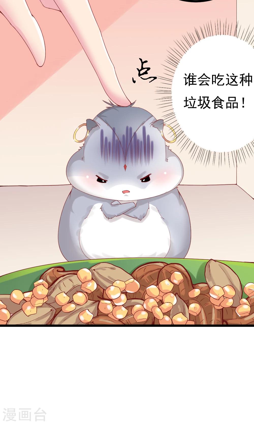 第2话(1/2)-第3话