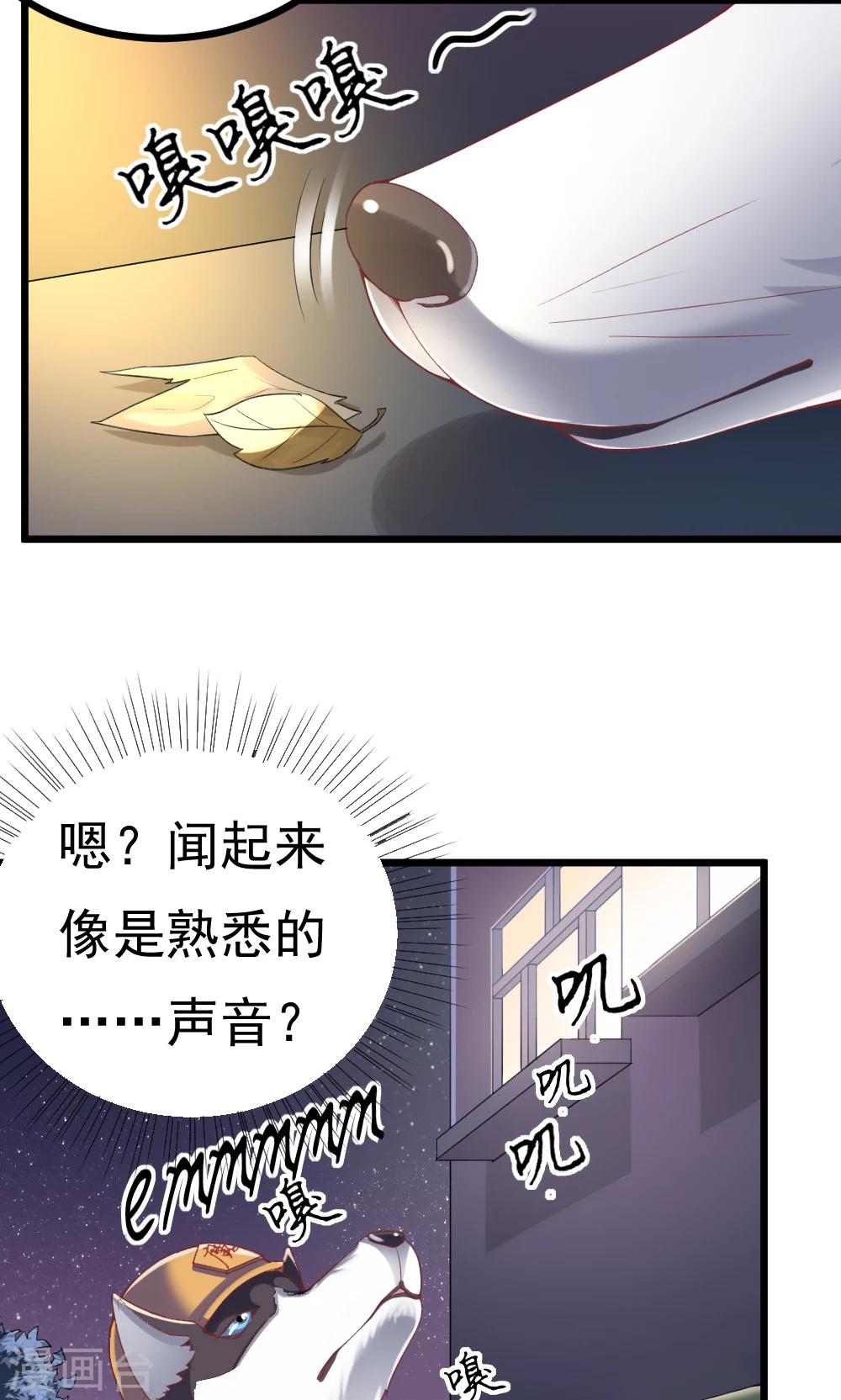 第2话(1/2)-第3话