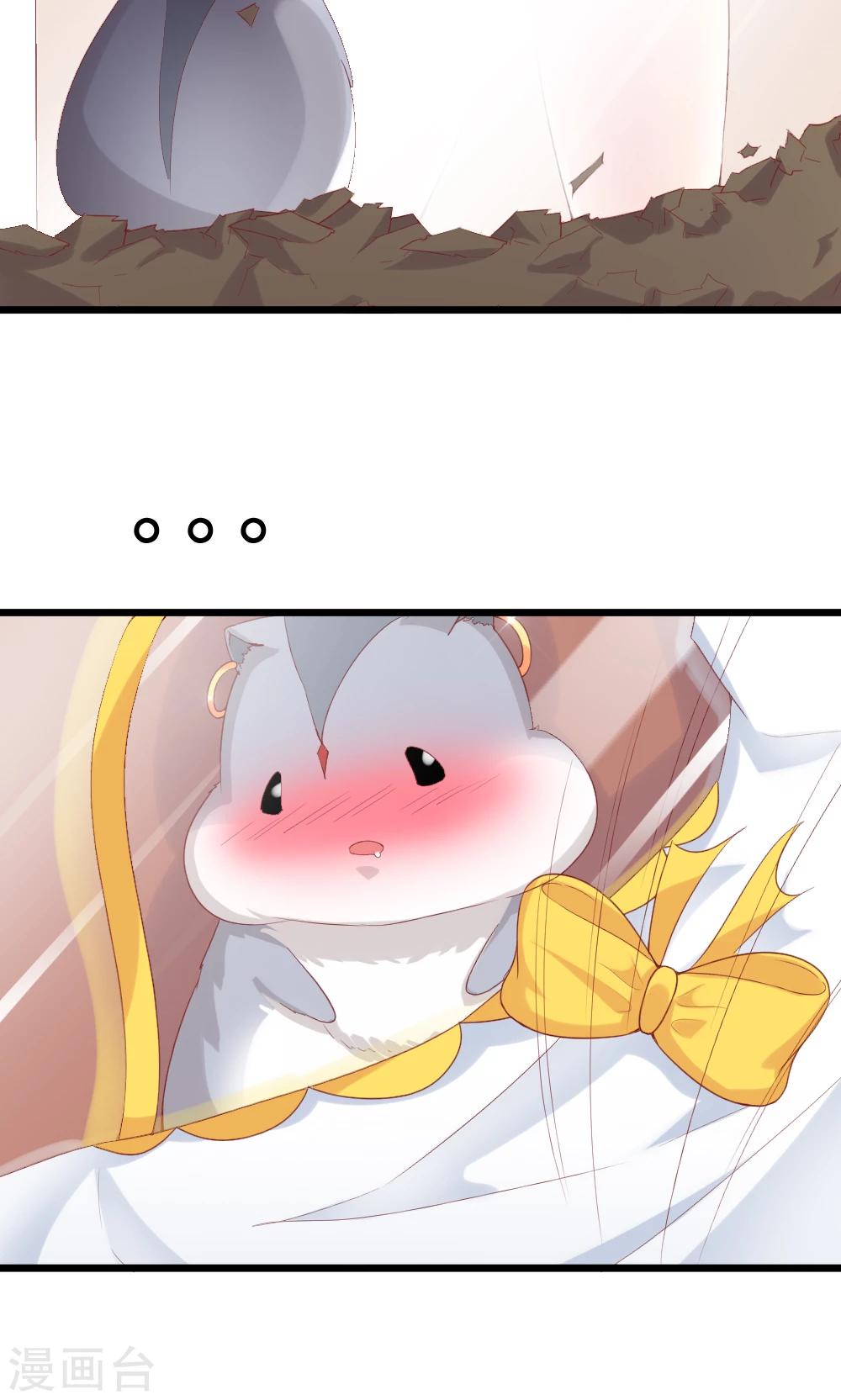 第2话(1/2)-第3话