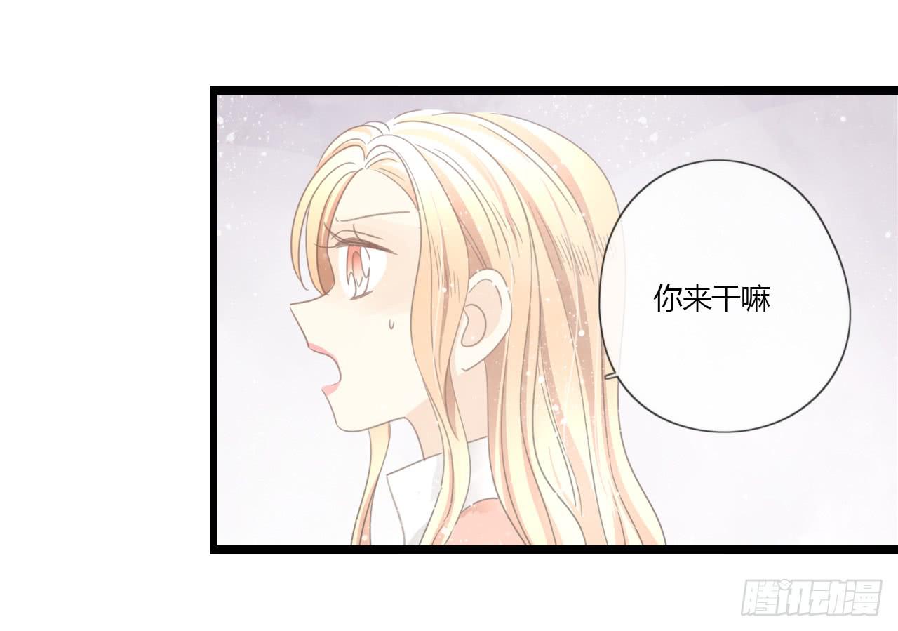 白辰！你回来啦~！-第41话