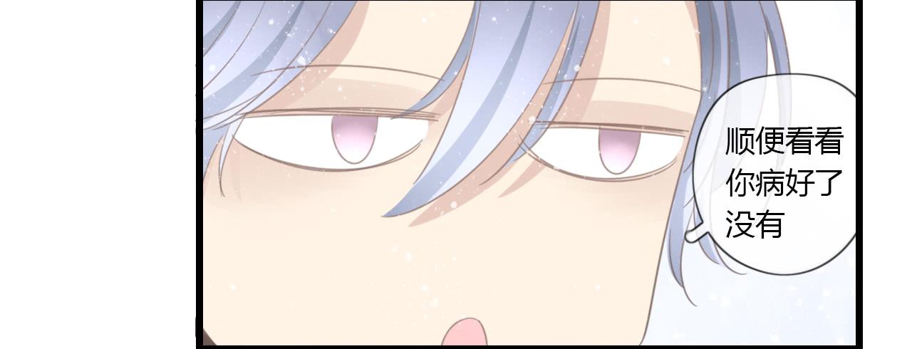 白辰！你回来啦~！-第41话