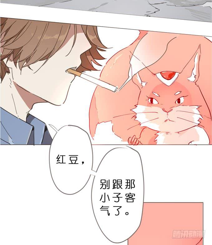 12话 最凶残的聚灵兽-第13话