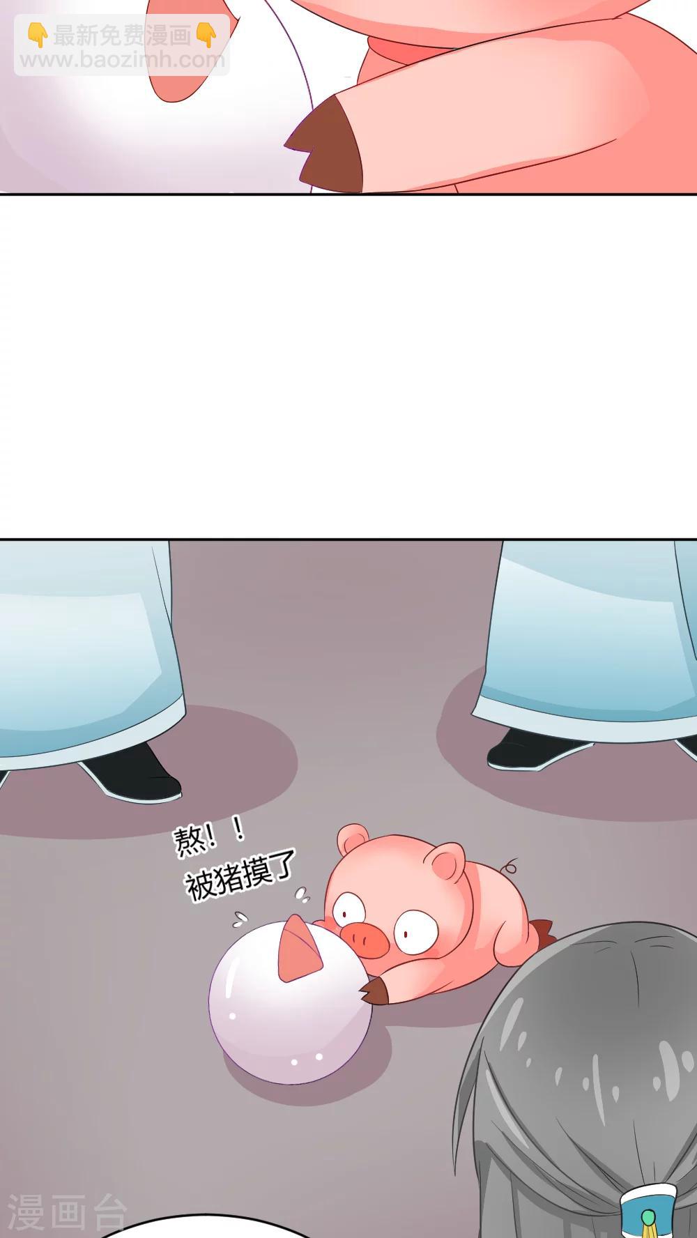 我的徒弟是隻豬 - 第2話 修仙界的碰瓷大法 - 5