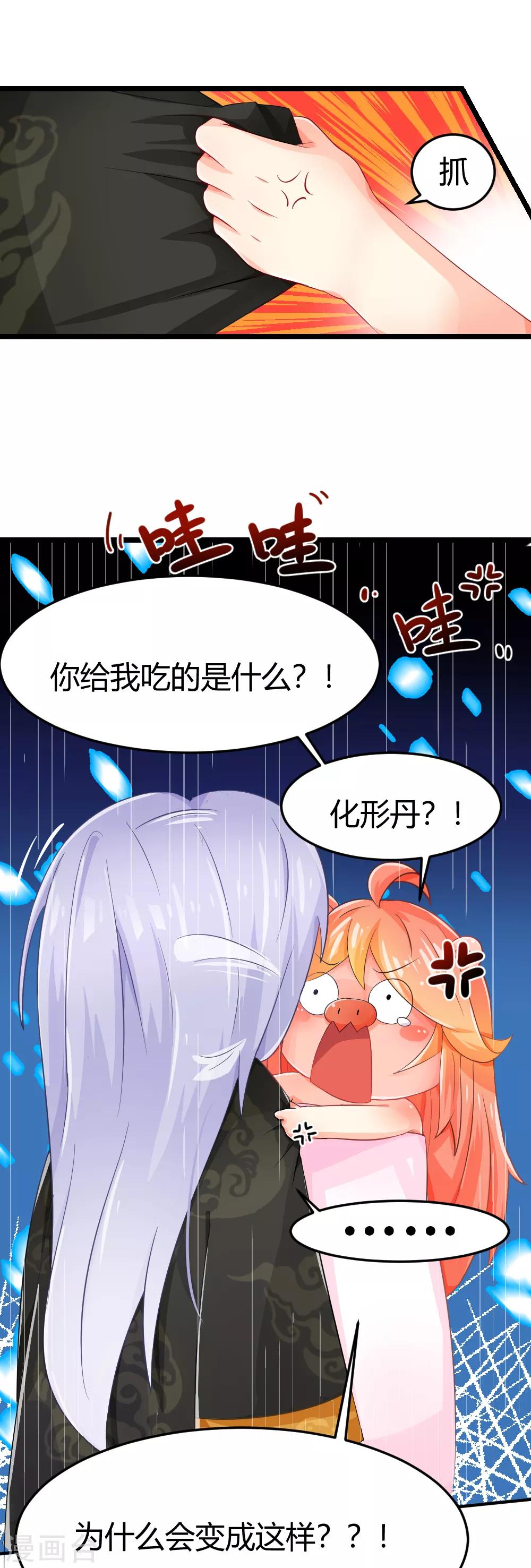 我的徒弟是隻豬 - 第4話 靈丹妙藥什麼的都是假的！ - 1