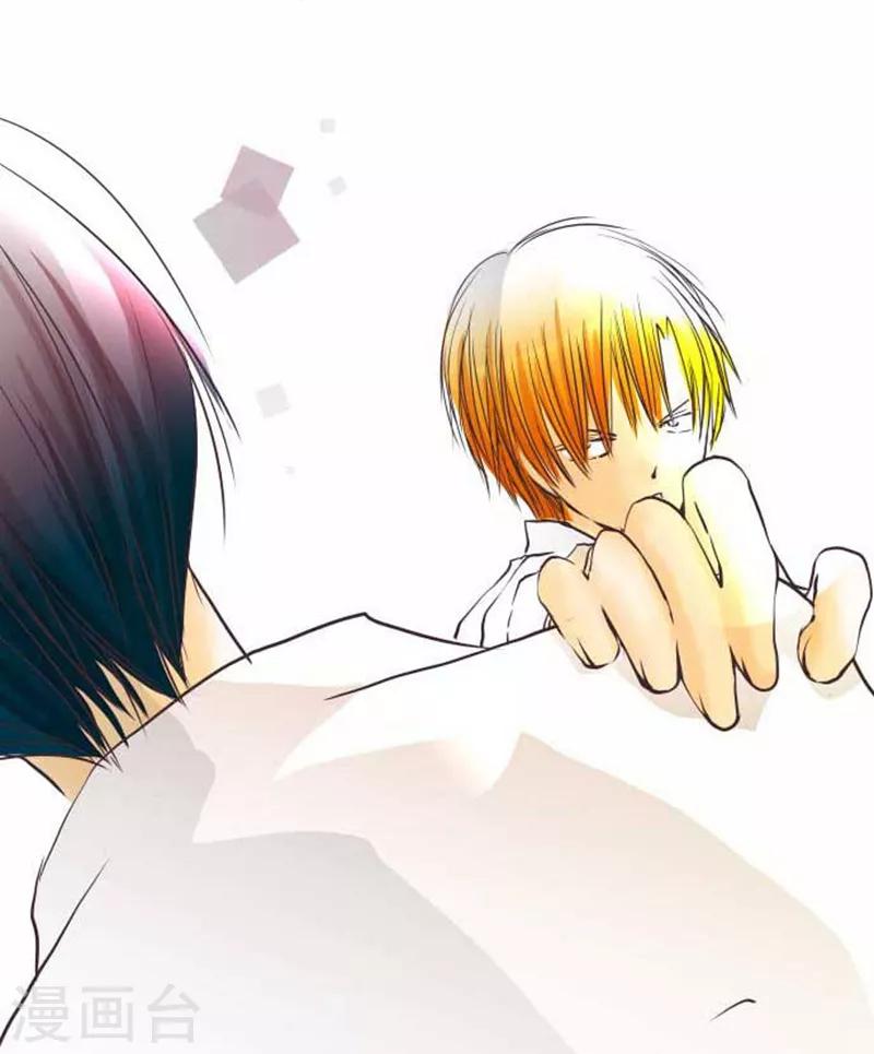 第71话 本命和义理-第71话