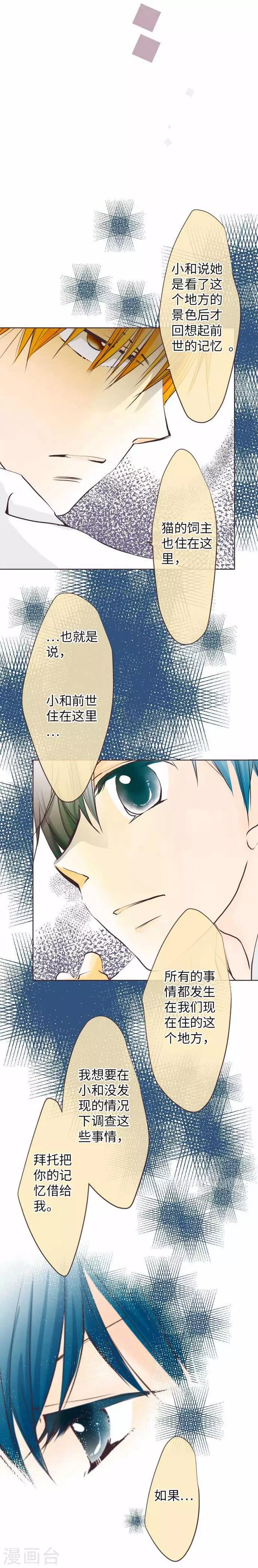 第71话 本命和义理-第71话