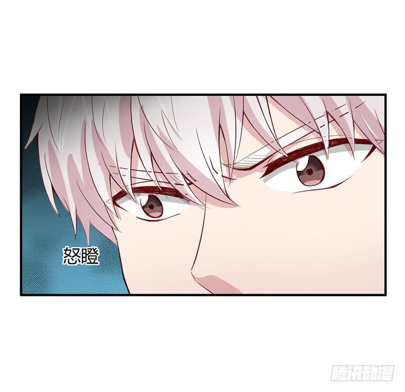 殊死的决斗(1/2)-第65话