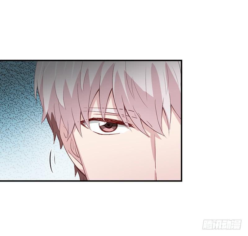 殊死的决斗(1/2)-第65话