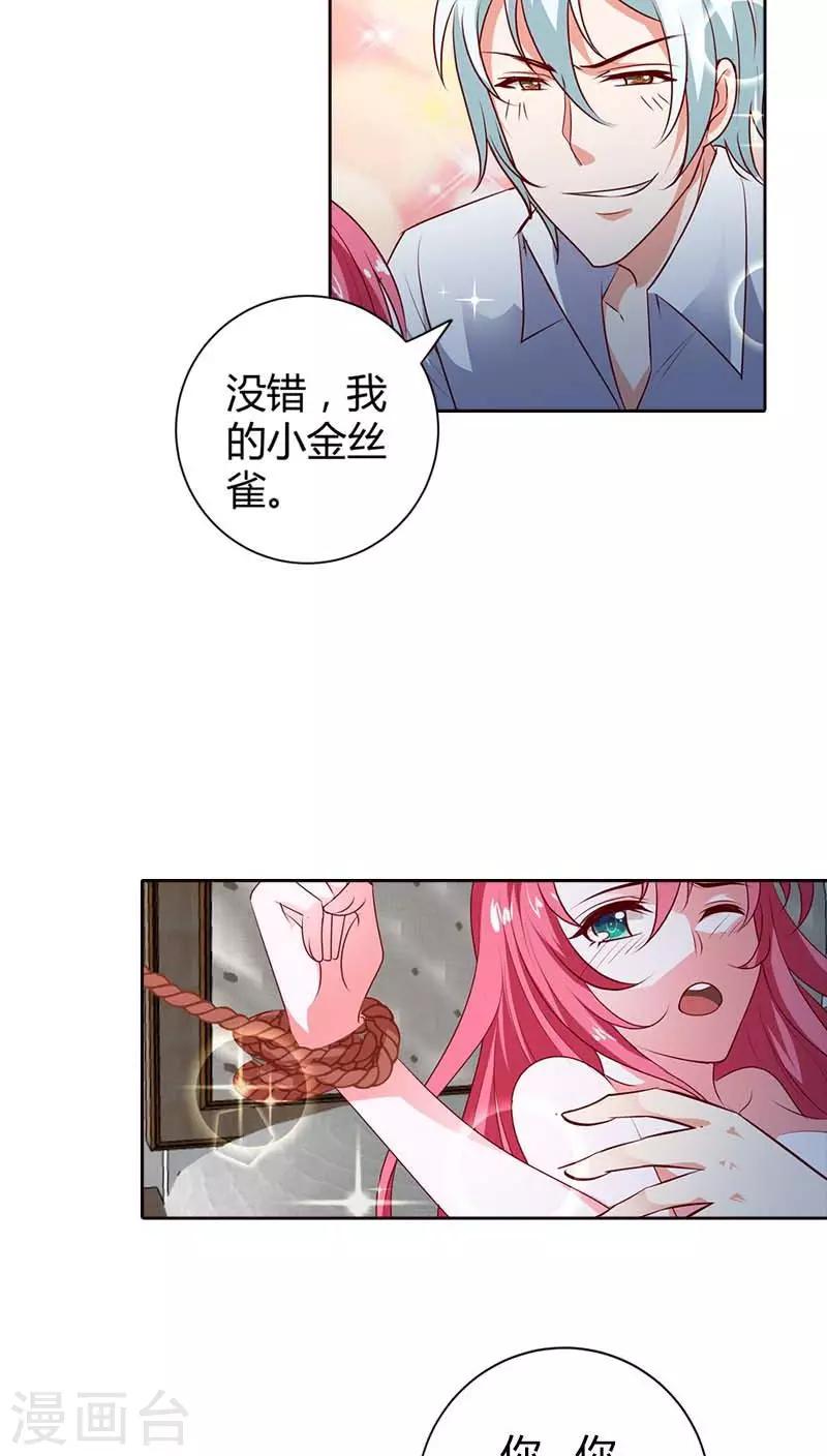 第74话 我的小金丝雀-第75话